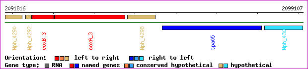 gene map