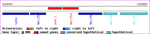 gene map