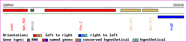 gene map
