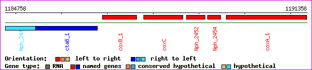 gene map