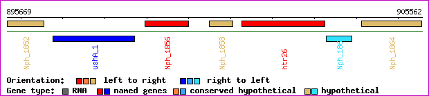 gene map