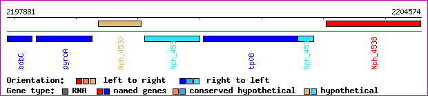 gene map
