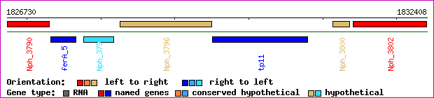 gene map