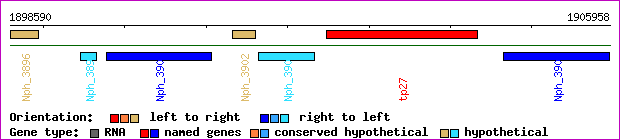 gene map